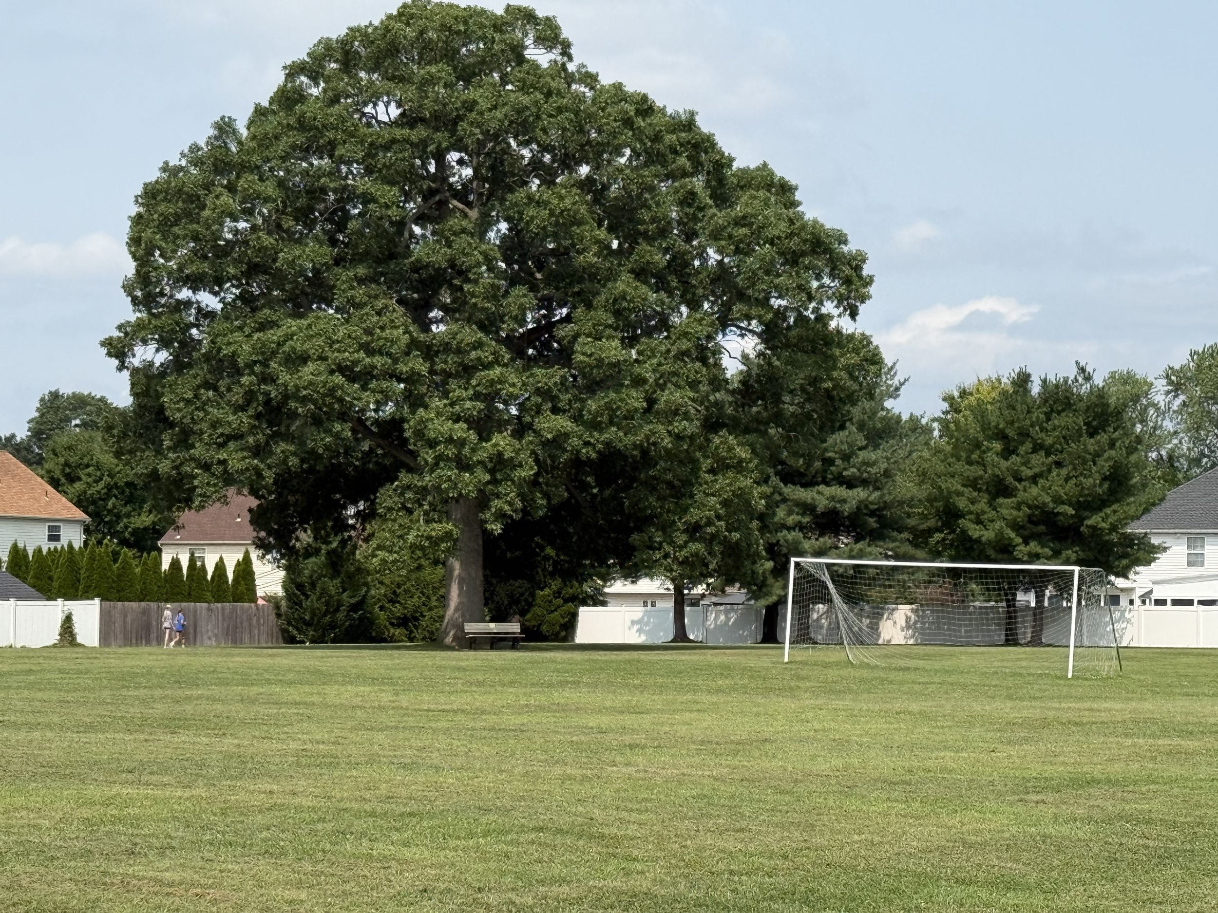 Soccer Net